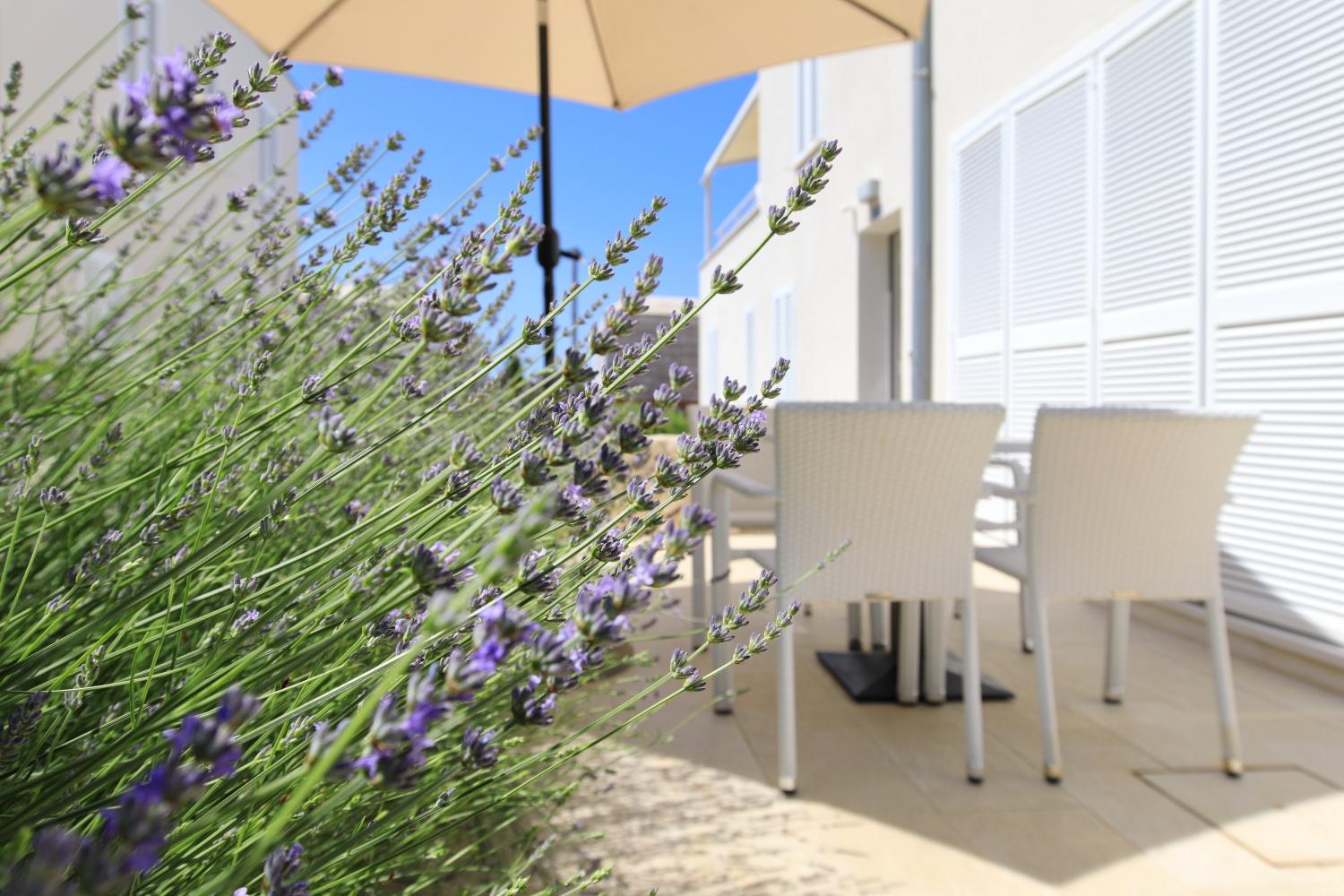 Sunnyside Apartments Resort Petrcane Exterior photo
